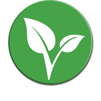 Vitae